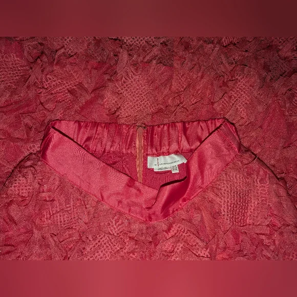 Anthropologie Like New Long Ruffled Skirt - Picture 5 of 6